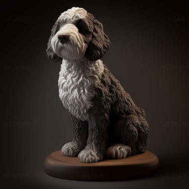 3D модель Испанская водяная собака (STL)